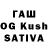 Кодеиновый сироп Lean Purple Drank vashaverysha G