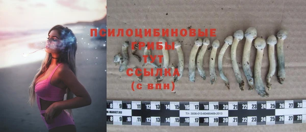 кристаллы Белоозёрский