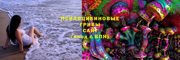 индика Бронницы