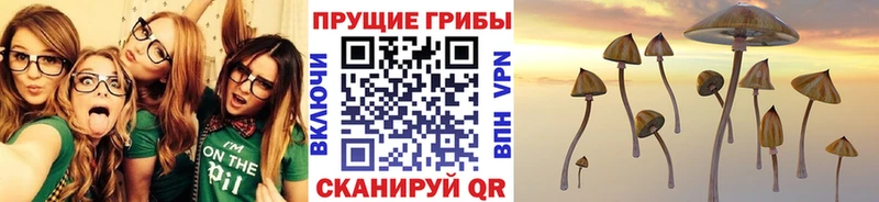 даркнет сайт Ува Псилоцибиновые грибы мухоморы